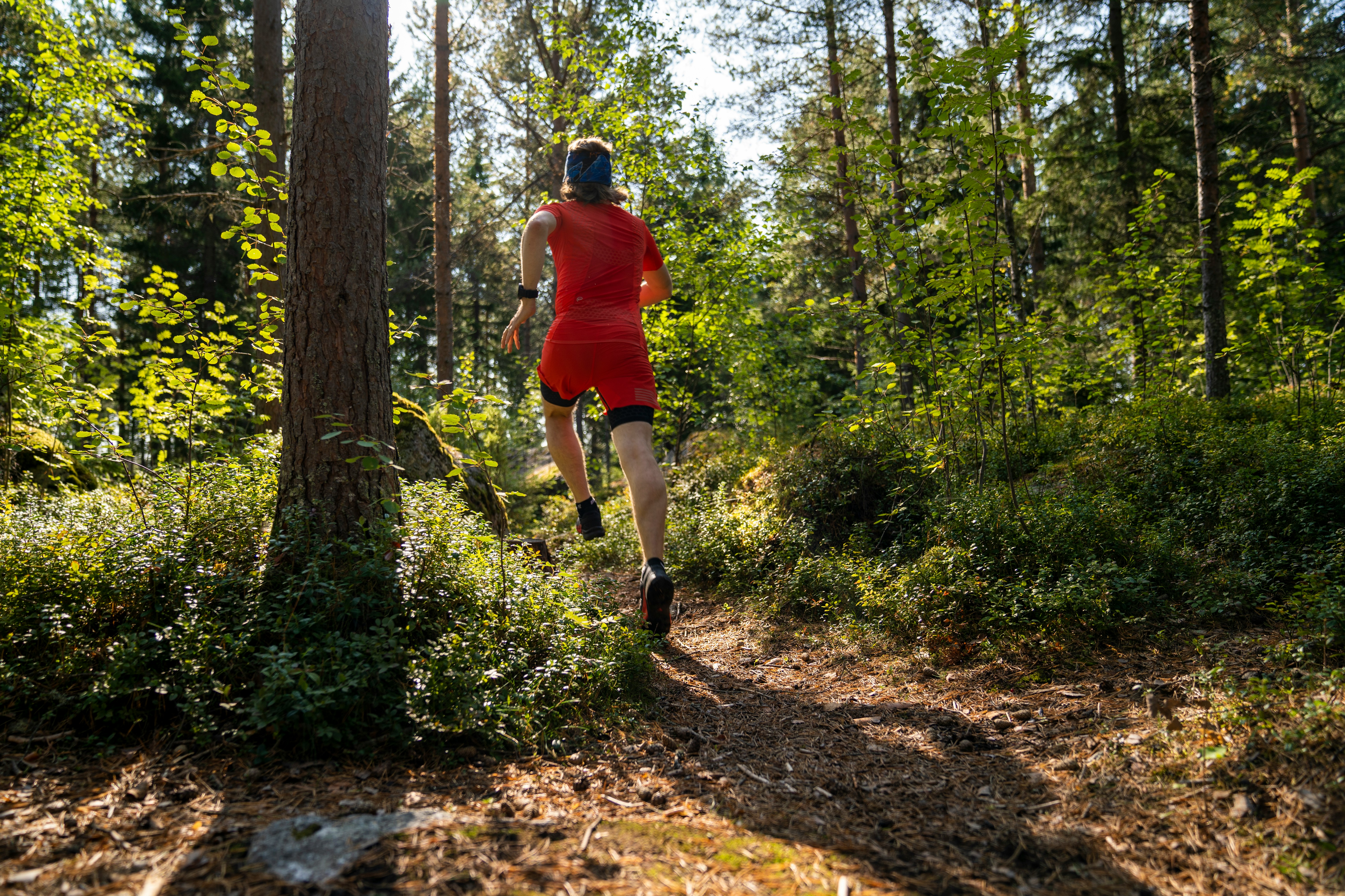 Coureur en sous-bois lumineux